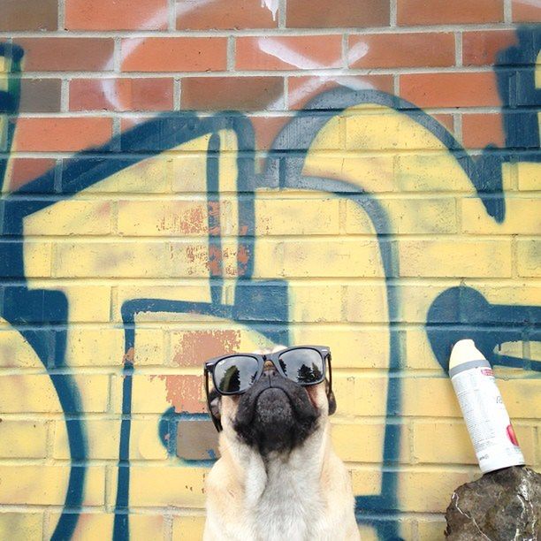 10 Więcej portretów Norma i zdjęć Jeremy'ego Veacha znajdziecie na http://instagram.com/jermzlee