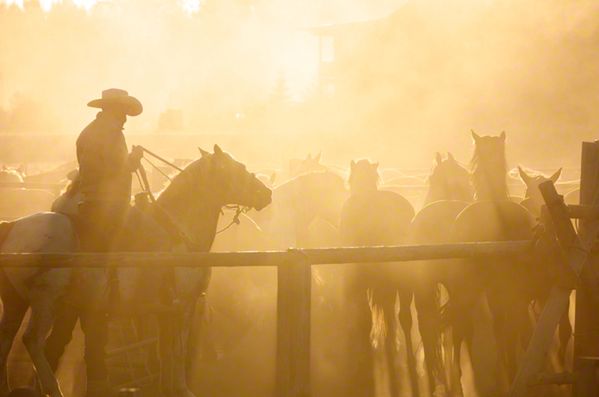 Nagroda Young Travel Photographer of the Year 2012 15-letni Samuel Fisch został nagrodzony za zdjęcia opowiadające o hodowcach koni ze stanu Wyoming.