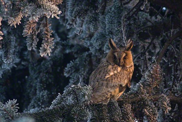 Wyróżnienie specjalne - kategoria Young Travel Photographer - Places & Faces 15-letni Mateusz Piesiak mimo młodego wieku ma już na koncie sporo nagród, w tym Veolia Young Wildlife Photographer of the Year.