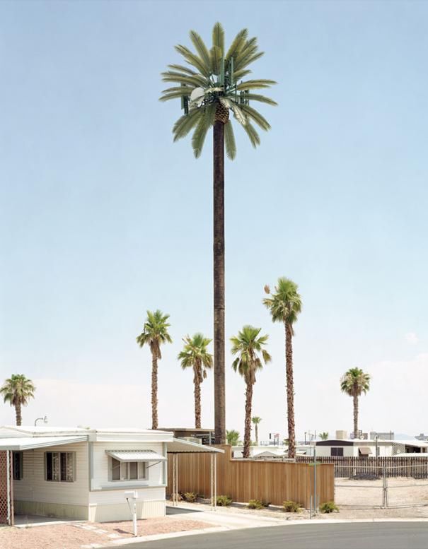 Fake Plastic Trees 06