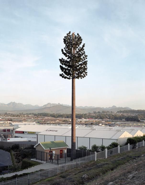 Fake Plastic Trees 01