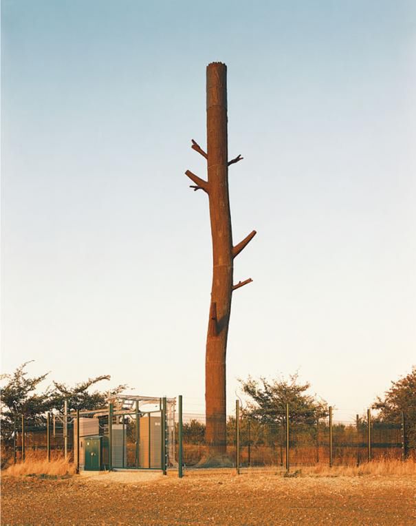 Fake Plastic Trees 03