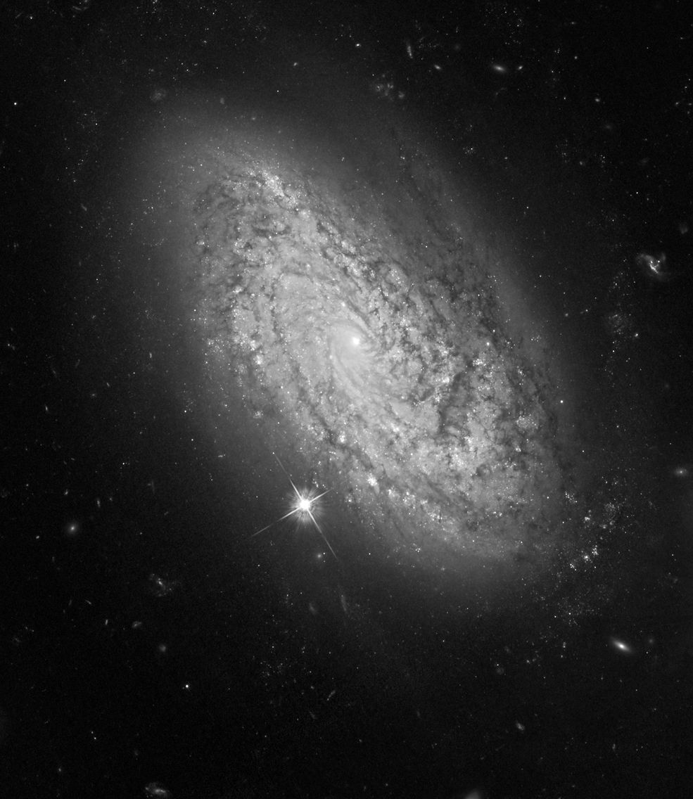 A teraz przyjrzyjmy się NGC 3021. To galaktyka spiralna, znajdująca się w gwiazdozbiorze Małego Lwa. Niemal tak samo wygląda nasza Droga Mleczna, zaś znajduje się w jednym z ramion. Mówiąc prościej - mieszkamy na prowincji galaktyki.