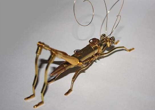 Konik polny