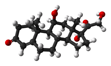 Zespół Cushinga Objawy Diagnostyka Leczenie Wp Abczdrowie