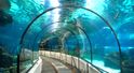 Największe akwarium na świecie