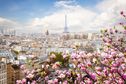 Paryż atrakcje. Co warto zobaczyć w Paryżu?
