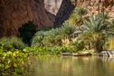 Wadi Shab i inne najpiękniejsze wadi w Omanie