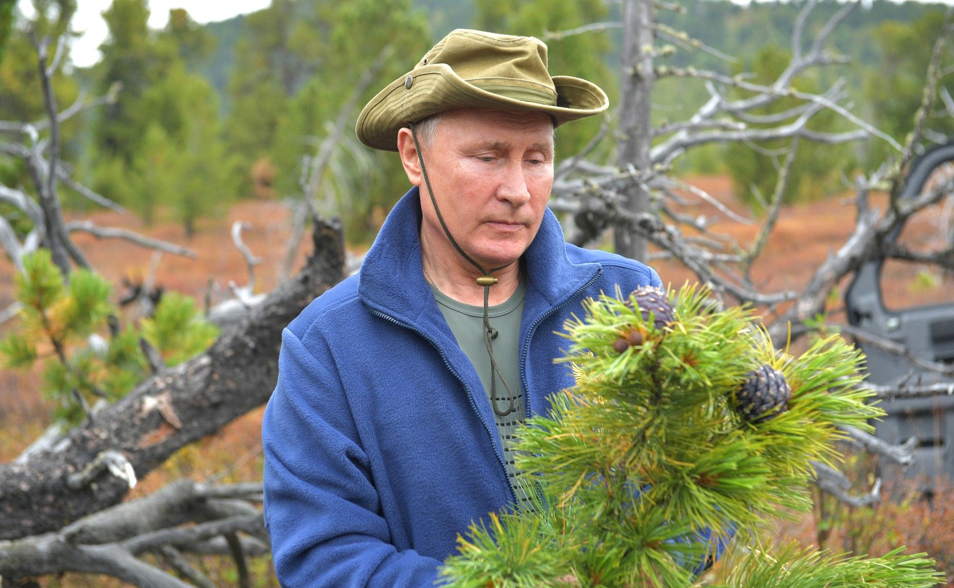 Путин владимир владимирович фото