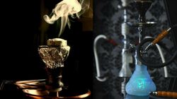 Szisza - działanie, cena, wpływ na zdrowie