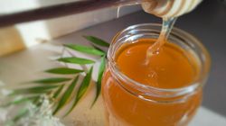 Miód - właściwości, rodzaje, zastosowanie