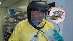 "Azbest XXI wieku". Australia zakazuje, w Polsce nadal dostępne