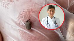 Trwają prace nad szczepionką na boreliozę. Prof. Zajkowska: Monitorujemy uczestników