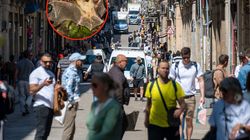 Władze Hiszpanii ostrzegają turystów. Wysokie ryzyko groźnej choroby