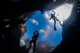 Nurkowanie na Malcie – doskonałe miejsce do podziwiania podwodnego świata