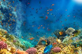 TEMAT CZYTELNIKÓW: 7 powodów, za które kochacie wakacje w Egipcie