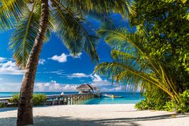 Najpiękniejsze plaże na Sri Lance