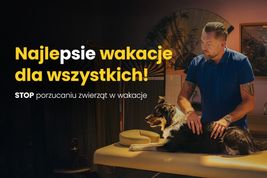 Beztroskie wakacje: Twój zwierzak w dobrych rękach