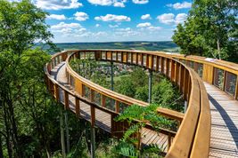 Ścieżki w koronach drzew, poznaj najciekawsze