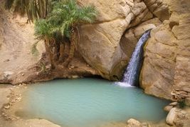 Miejsca warte zobaczenia: tunezyjskie oazy