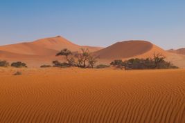 Pustynia Namib, jedyna taka na świecie