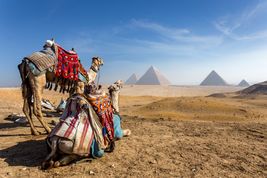 Koronawirus a wakacje - zasady wjazdu do Egiptu