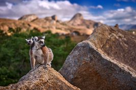 Loty na Madagaskar – wyspa baobabów dostępna z lokalnych lotnisk!