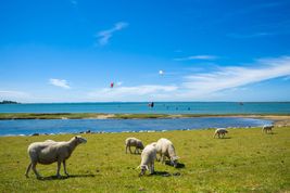 Wyspy na Bałtyku – poznaj najciekawsze z nich
