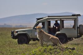 Park Narodowy Masai Mara – safari w Kenii