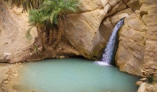 Miejsca warte zobaczenia: tunezyjskie oazy