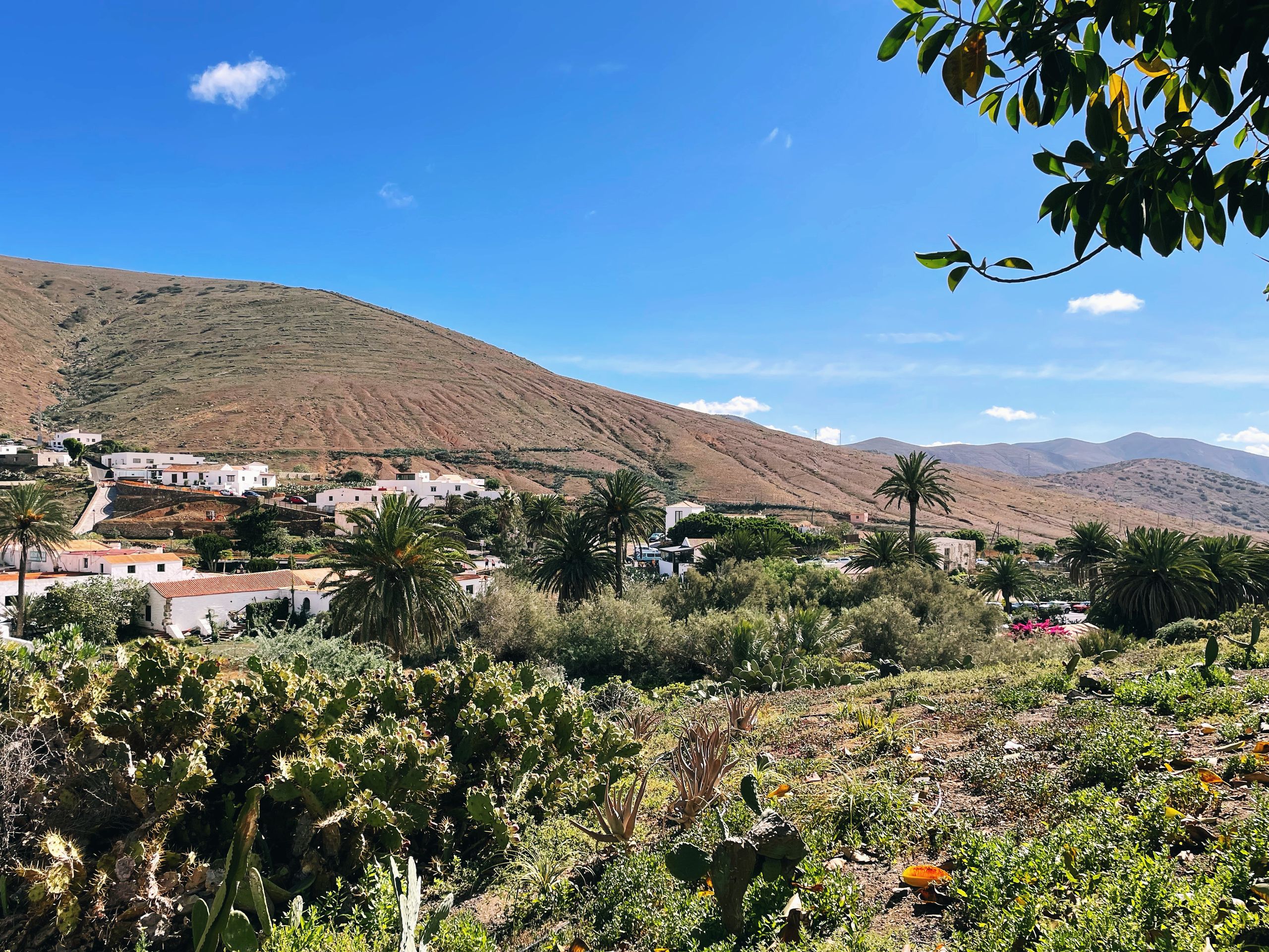Fuerteventura, czyli wyspa kóz i pięknych plaż. Polacy ją pokochali