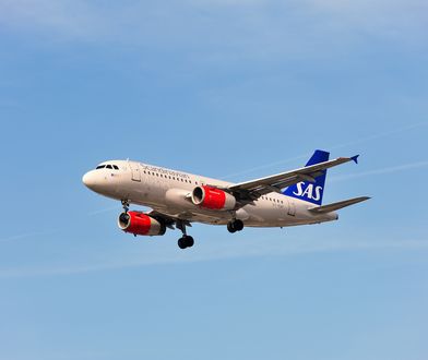 Sas Scandinavian Airlines Najnowsze Informacje Wp Finanse