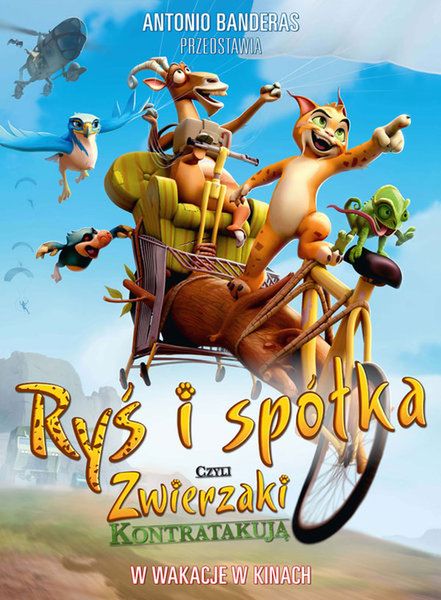 Zdjęcie