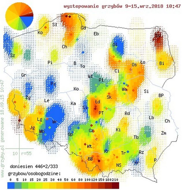 mapa grzybów Gdzie na grzyby? Oto grzybowa mapa Polski   WP Finanse