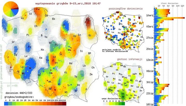 grzybobranie mapa Gdzie na grzyby? Oto grzybowa mapa Polski   WP Finanse