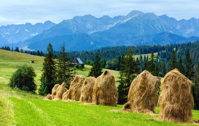 Małopolska w pigułce - co warto zobaczyć? - WP Turystyka