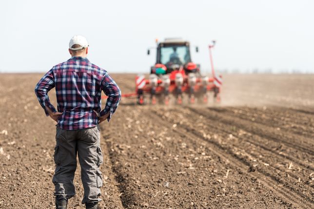 Rolnicy od nowego roku będą mogli oznaczać swoje produkty jako wolne od GMO