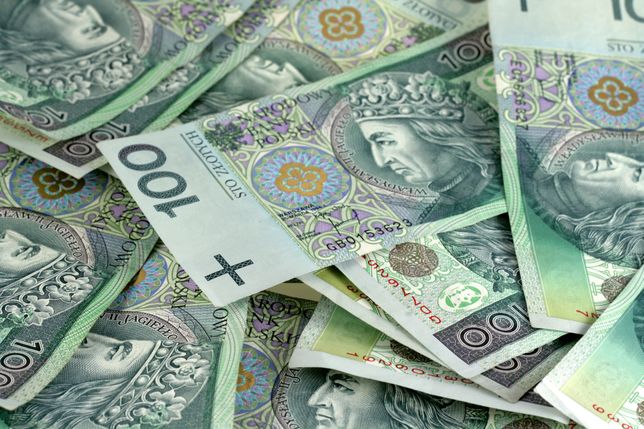 Złoty najmocniejszy do euro od wakacji 2018 r.