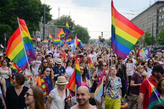 Znalezione obrazy dla zapytania: marsz równości"