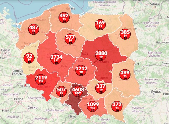 aktualna mapa polski Koronawirus w Polsce. 265 nowych przypadków. Na świecie blisko 300 