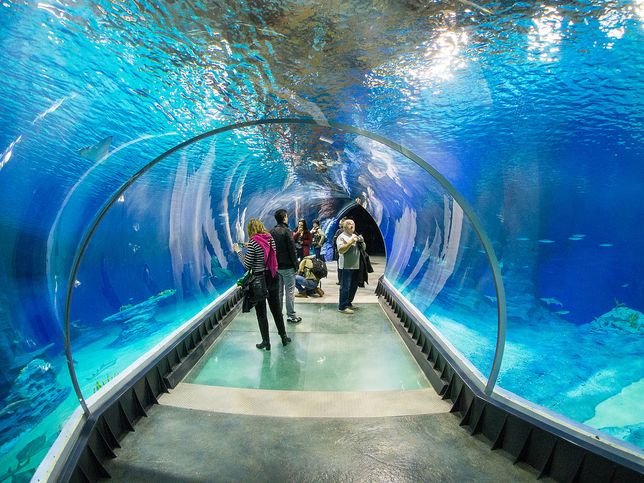 Kolobrzeg Atrakcje Oceanarium Gdzie Sie Znajduje Jakie Sa