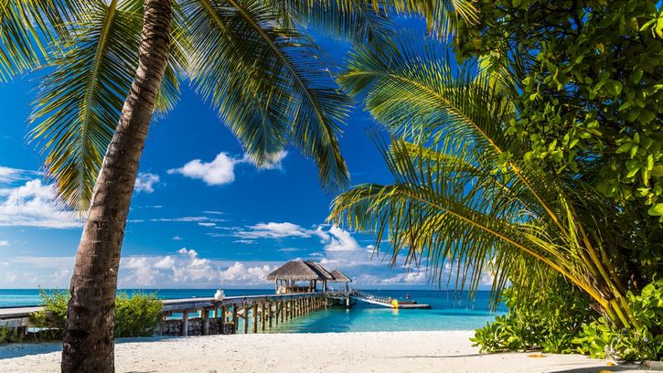 Najpiękniejsze plaże na Sri Lance