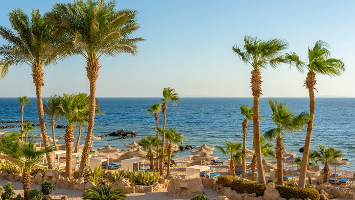 Gdzie jechać do Egiptu? Porównanie top kurortów