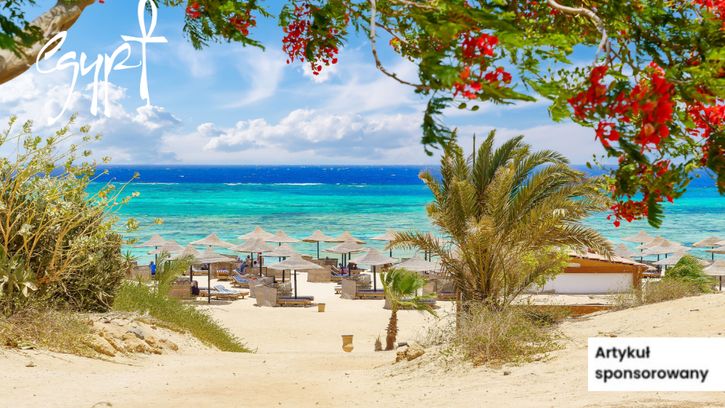 Najlepsze atrakcje Marsa Alam – co warto zobaczyć?