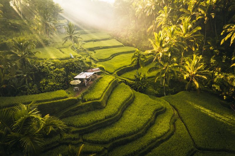 Ubud