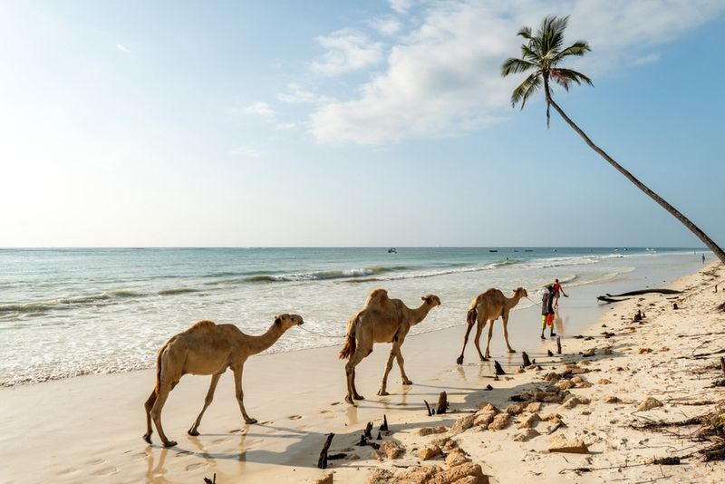 Diani Beach