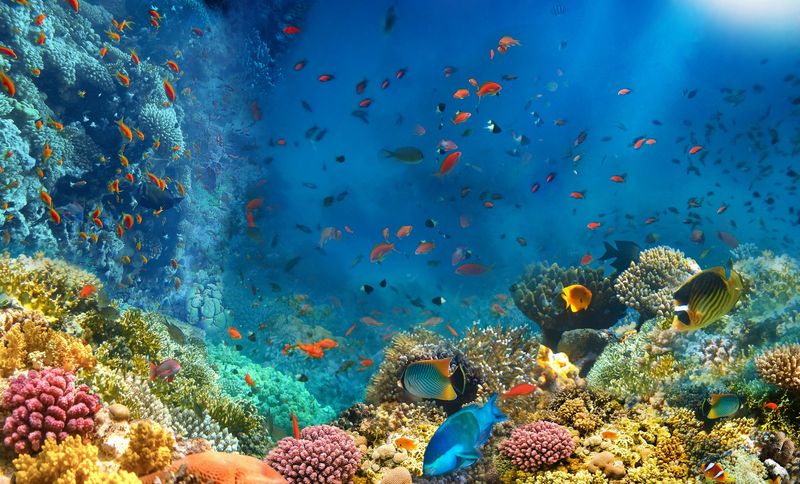 Za co kochacie wakacje w Egipcie?