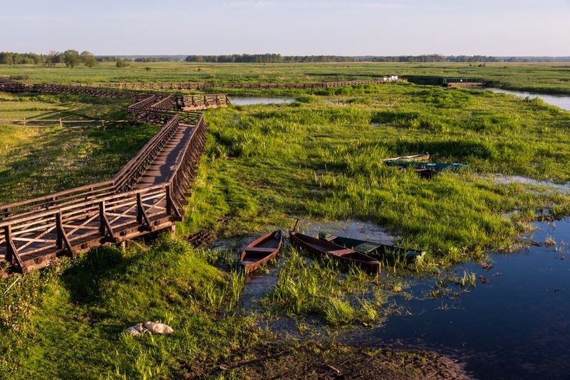 Narwiański Park Narodowy