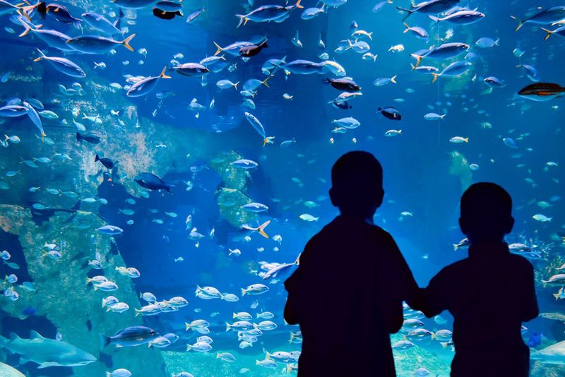 Największe akwarium na świecie
