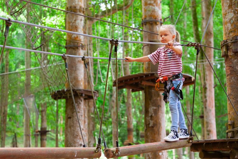 Ścieżka i park linowy